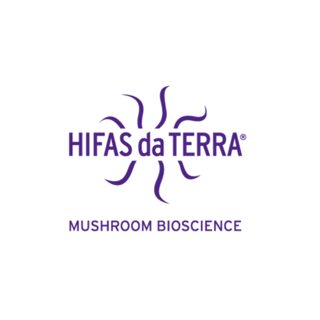 Newsletter - Hifas de terra