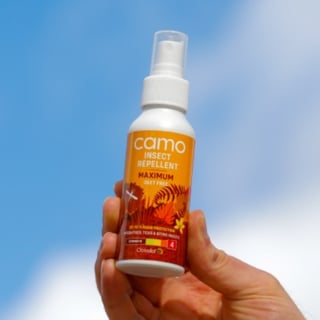 Camo article